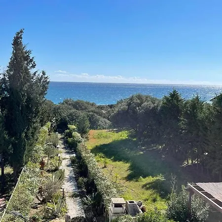 Beachfront Socrates *