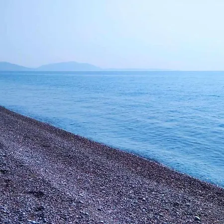 Beachfront Socrates Jenadi