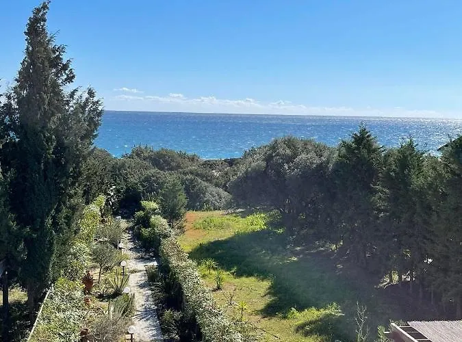 Beachfront Socrates *